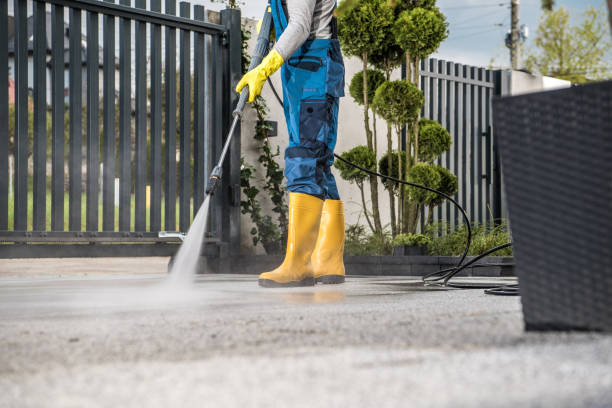 Animal Enclosure Cleaning